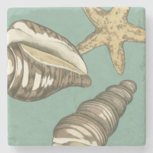 Dessous-de-verre En Pierre Petit trio de Shell sur Teal