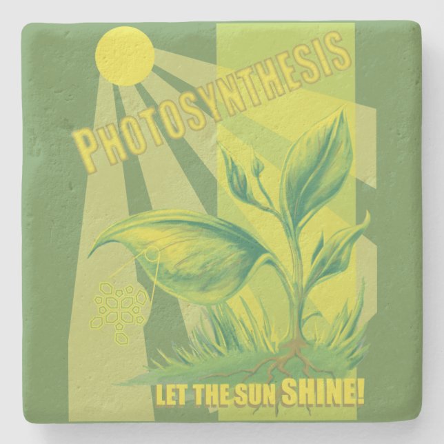 Dessous-de-verre En Pierre Photosynthèse (Devant)