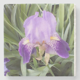Dessous-de-verre En Pierre Pierre Iris violetCoaster