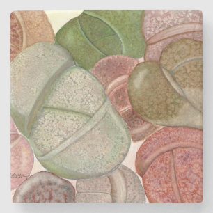 Dessous-de-verre En Pierre Pierre vivante (léthargiques) dessous de verre en