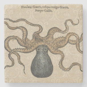 Dessous-de-verre En Pierre Pieuvre Kraken Antique Faune Marine Côtière