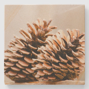 Dessous-de-verre En Pierre Pine Cones rustique Pays Dessous de verre de grès