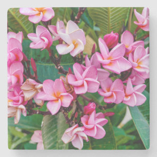 Dessous-de-verre En Pierre Pink Plumeria