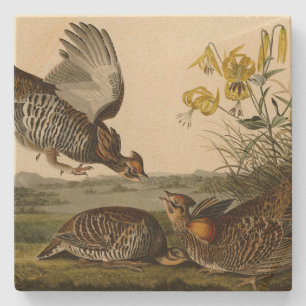 Dessous-de-verre En Pierre Pinnated Grouse