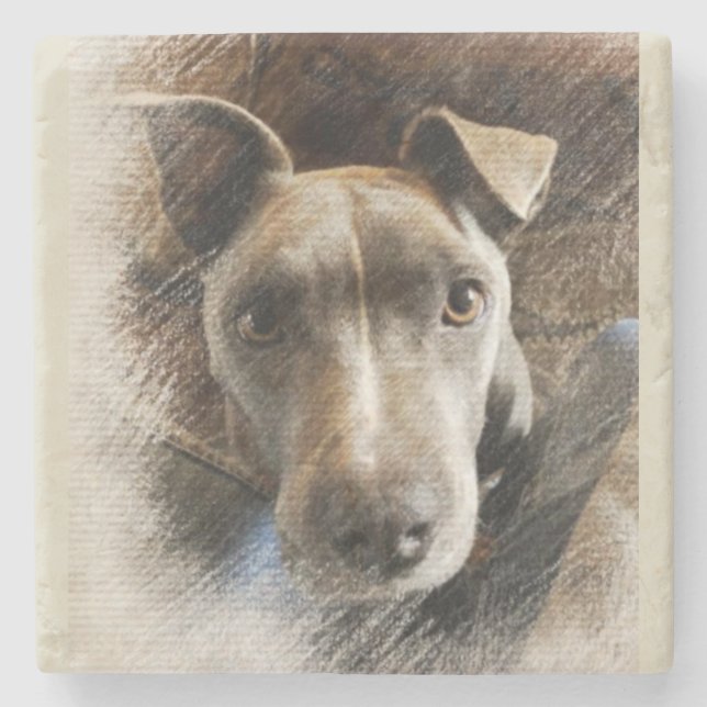 Dessous-de-verre En Pierre Pitbull (Devant)