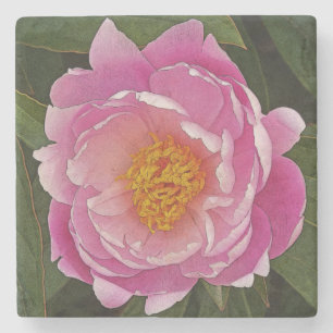 DESSOUS-DE-VERRE EN PIERRE PIVOINE ROSE (PIVOINE LIEBCHEN)