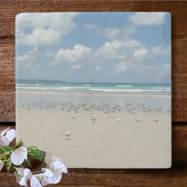 Dessous-de-verre En Pierre Plage avec mouettes (Créateur téléchargé)