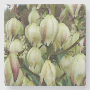 Dessous-de-verre En Pierre Plante du Yucca