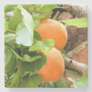 DESSOUS-DE-VERRE EN PIERRE PLUMES