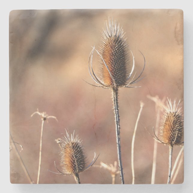 Dessous-de-verre En Pierre Poignée (Devant)