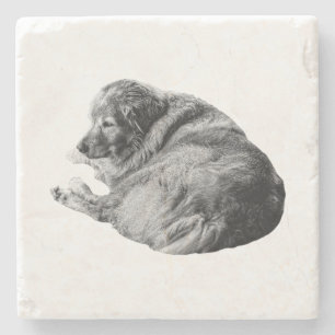 Dessous-de-verre En Pierre Poils de chien réalistes adoucissent les rassemble