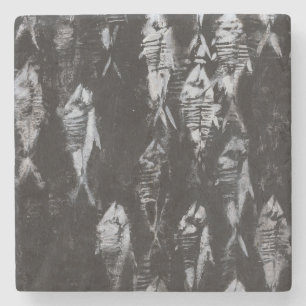 Dessous-de-verre En Pierre Poissons blancs fossiles sur l'arrière - plan noir