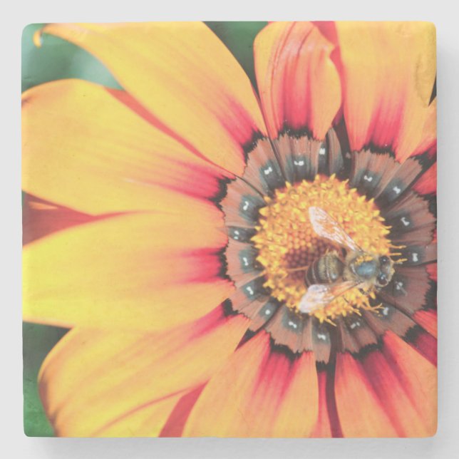 Dessous-de-verre En Pierre Pollen de close-up extrême de A Bee Collecting (Devant)