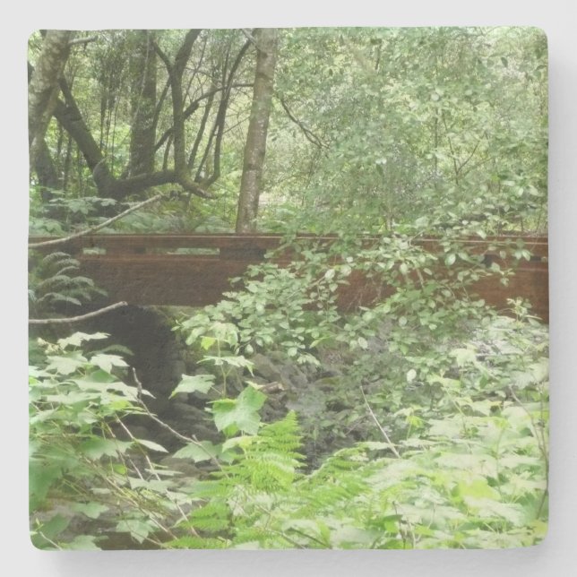 Dessous-de-verre En Pierre Pont de Muir Woods I (Devant)