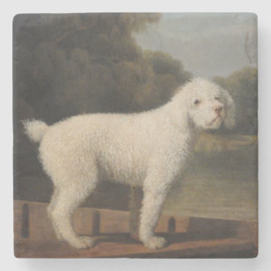 Dessous-de-verre En Pierre Poodle blanc dans un Punt (par George Stubbs)