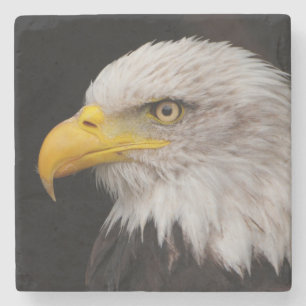 Dessous-de-verre En Pierre Portrait d'aigle