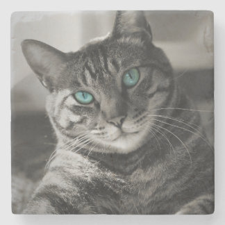Dessous-de-verre En Pierre Portrait de chat tigré en pierre Sapphire Soul Sil