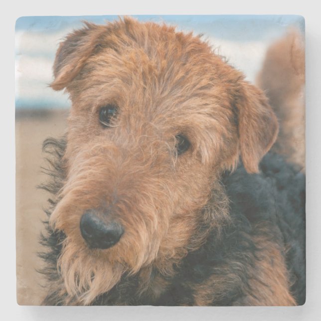 Dessous-de-verre En Pierre Portrait d'un Airedale Terrier (Devant)