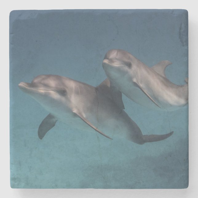 Dessous-de-verre En Pierre Pose espiègle (Devant)