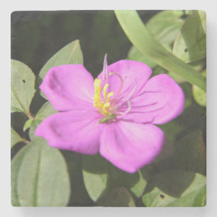Dessous-de-verre En Pierre Poster de Plumeria Hawaii rose Faux Canvas Imprime