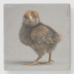 Dessous-de-verre En Pierre Poulet de bébé