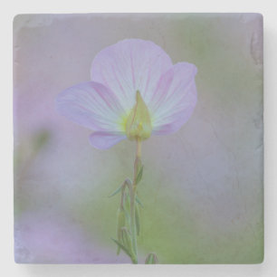 Dessous-de-verre En Pierre Primrose pourpre