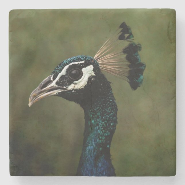 Dessous-de-verre En Pierre Profil de Peacock (Devant)