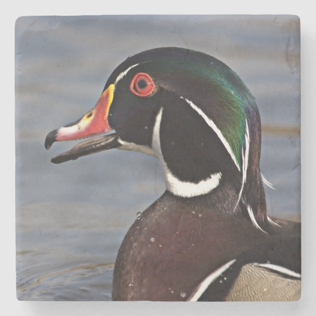 Dessous-de-verre En Pierre Profil d'un Canard branchu (Devant)