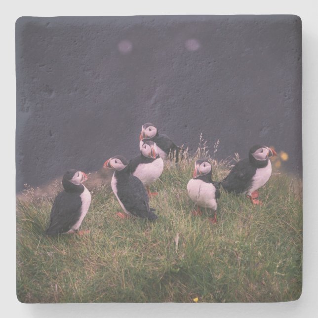 Dessous-de-verre En Pierre Puffins de l'Atlantique (Devant)