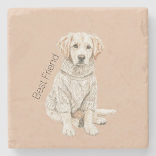 Dessous-de-verre En Pierre Pull pour chien couleur crème Meilleur ami