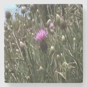 Dessous-de-verre En Pierre Purple Thistle Fleur sauvage Art Réaliste