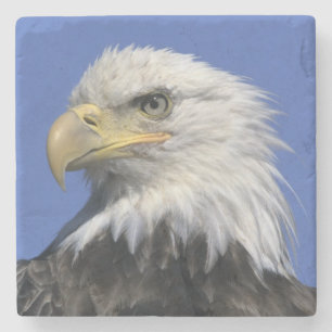 Dessous-de-verre En Pierre Pygargue à tête blanche, (Haliaeetus leucocephalus