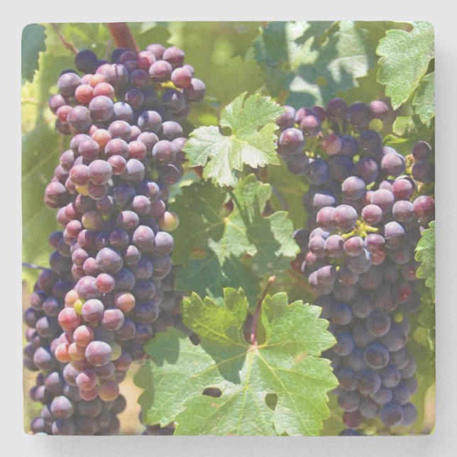 Dessous-de-verre En Pierre Raisins (Devant)
