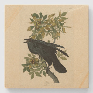 Dessous-de-verre En Pierre Raven