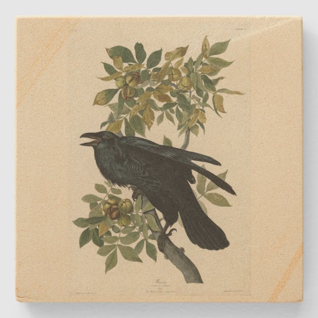 Dessous-de-verre En Pierre Raven (Devant)