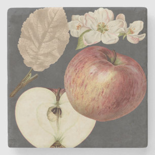 Dessous-de-verre En Pierre Récolte de minuit II