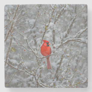 Dessous-de-verre En Pierre Red Cardinal Bird on Snow Tree Dessous de verre de