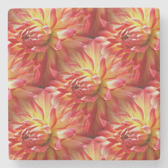 Dessous-de-verre En Pierre Red Dahlia Flower Nature Motif (Devant)