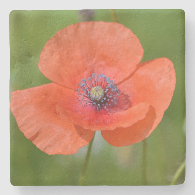 Dessous-de-verre En Pierre Red Poppy (Devant)