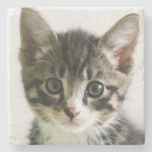 Dessous-de-verre En Pierre Regard fixe de chaton