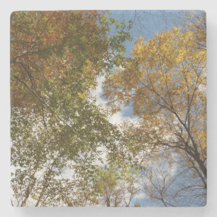 Dessous-de-verre En Pierre Regardant les feuilles d'automne II Nature automna