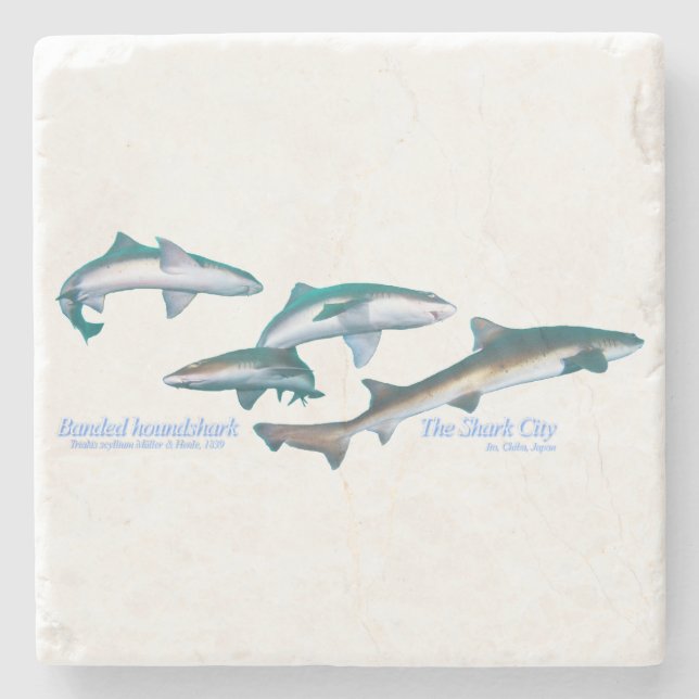Dessous-de-verre En Pierre Requin basané (Devant)