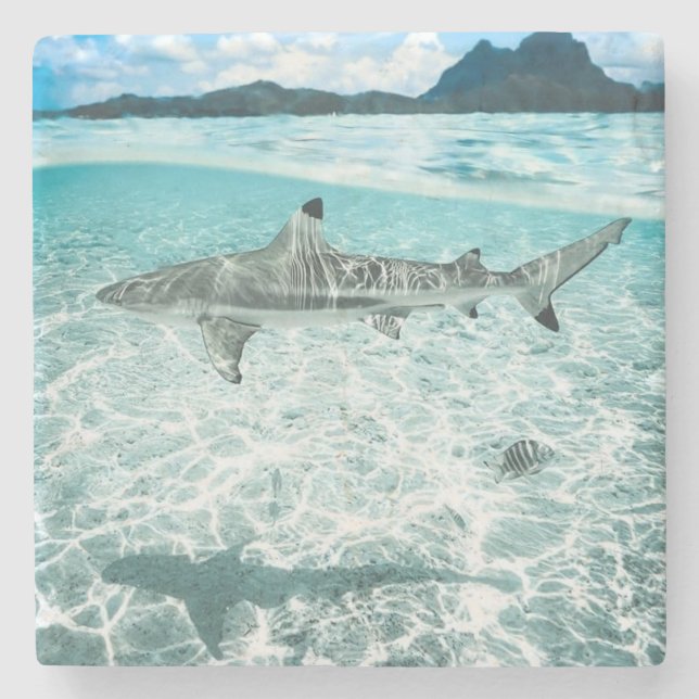 Dessous-de-verre En Pierre Requin dans les eaux (Devant)