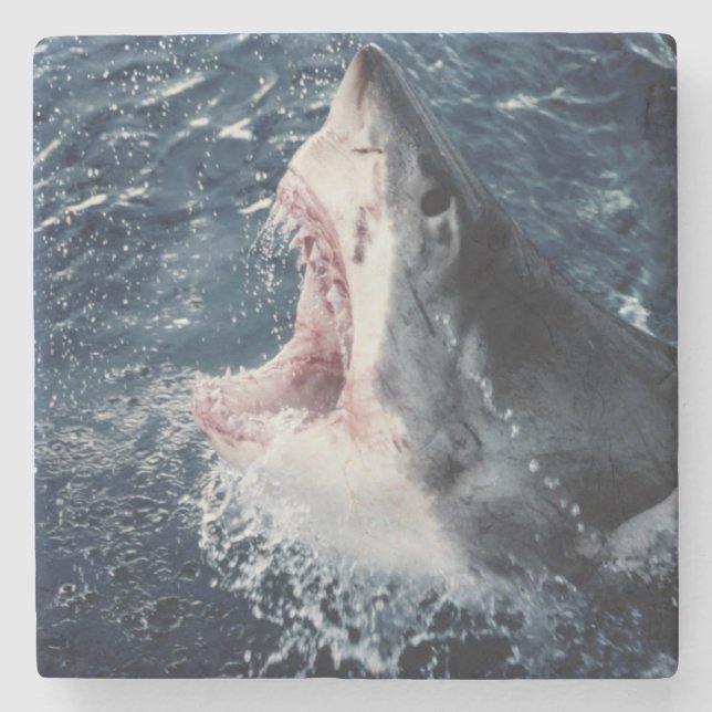 Dessous-de-verre En Pierre Requin élevé bouche ouverte (Devant)