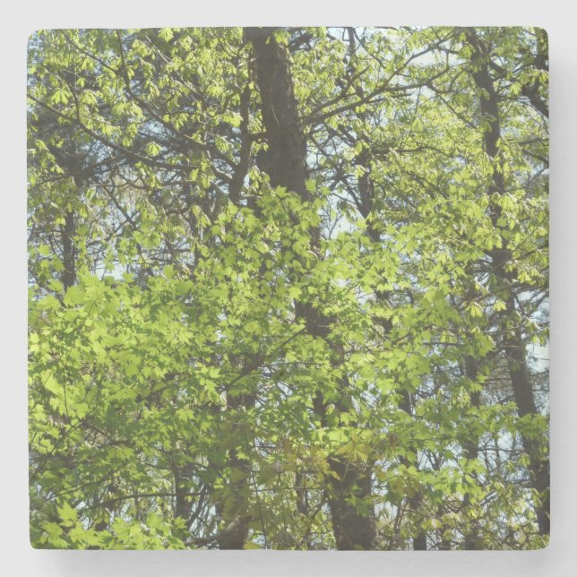 Dessous-de-verre En Pierre Ressource Feuille (Devant)