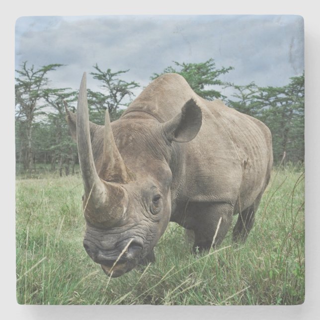 Dessous-de-verre En Pierre Rhinoceros noirs | Kenya (Devant)