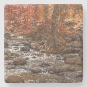 DESSOUS-DE-VERRE EN PIERRE RIVIÈRE FORESTIÈRE D'AUTOMNE SEDONA ARIZONA