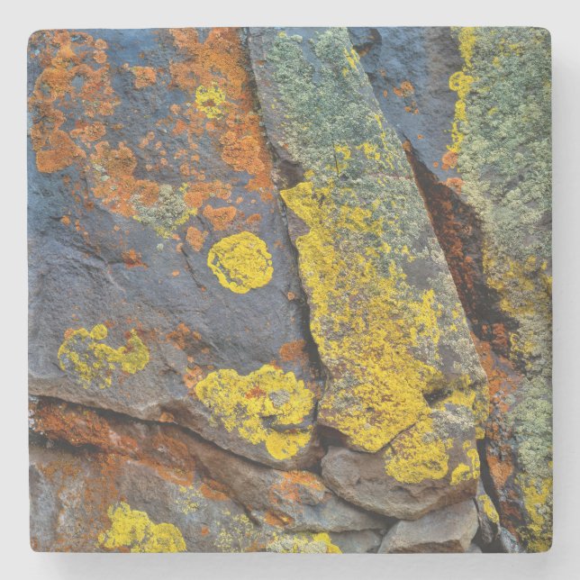 Dessous-de-verre En Pierre Roches couvertes de lichen (Devant)