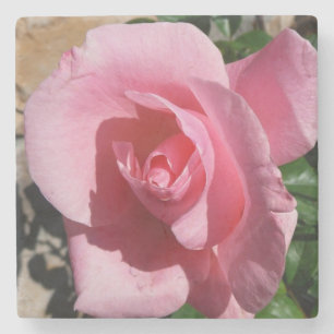 Dessous-de-verre En Pierre Rose III Jardin Floral