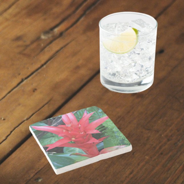 Dessous-de-verre En Pierre Rouge Guzmania Bromeliad Floral (In Situ)